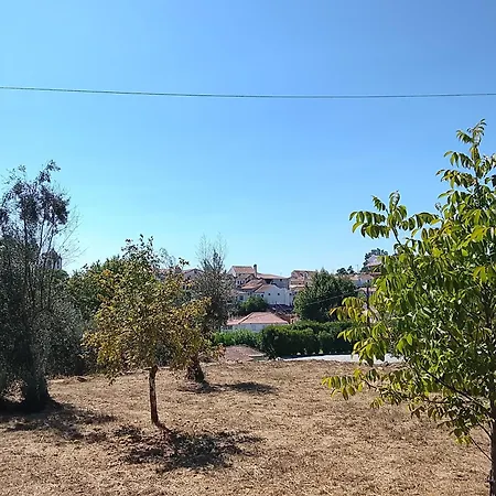 Tiny Vakantiehuis