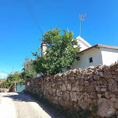 Tiny Vakantiehuis